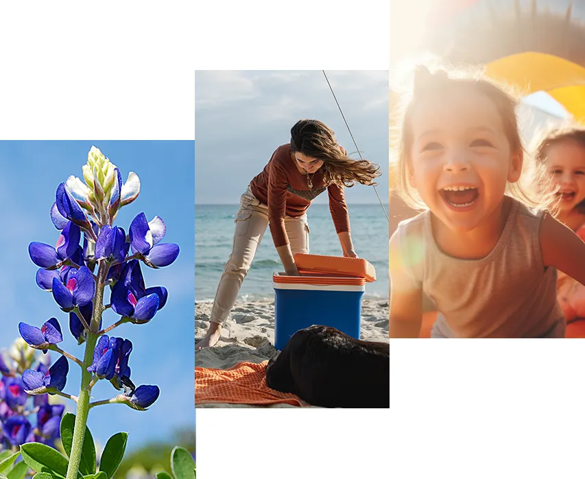 A collage of a purple flower, a woman on the beach with her dog and a cooling box and two laughing children (Photo)